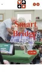 Smart Bridge mobile image